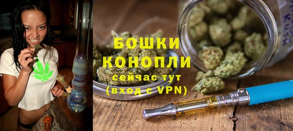 2c-b Горно-Алтайск
