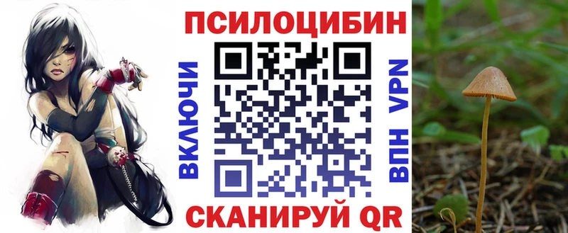 Псилоцибиновые грибы MAGIC MUSHROOMS Карасук