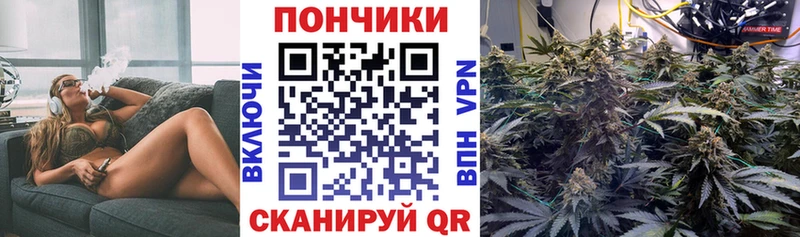 Купить где  Карасук  Шишки марихуана тримм 